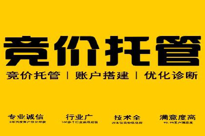 SEM服务在旅游行业的应用案例